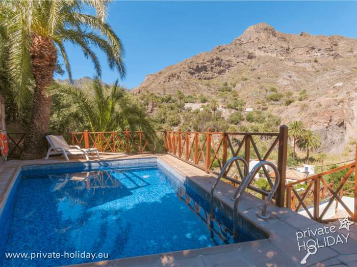 Piscina privada con palmeras y vista a la montaña, Santa Lucia, Gran Canaria