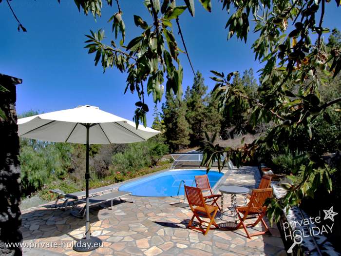Poolterrasse mit Sonnenschirm und Liegen zwischen grüner Vegetation, Tijarafe, La Palma