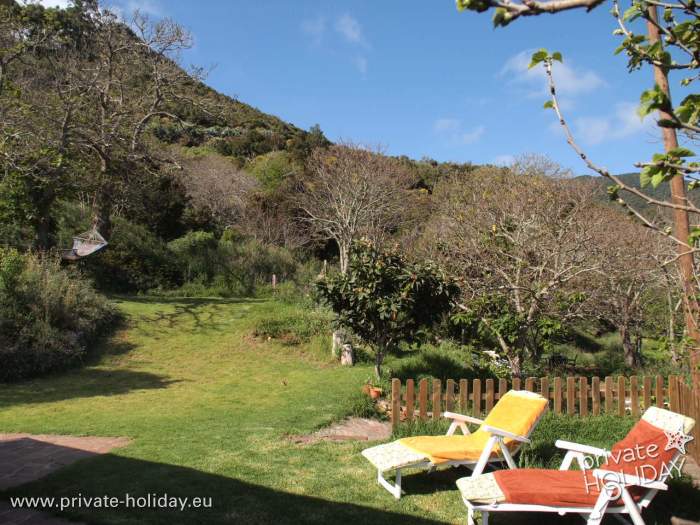 Grüne Gartenwiese mit Liegestühlen vor bewaldetem Hang, Tegueste, Teneriffa