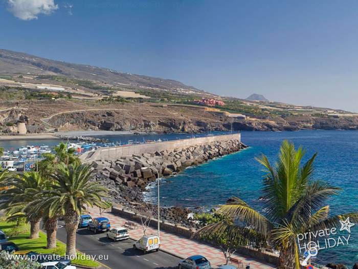 Dique del puerto con palmeras y laderas costeras, Playa San Juan, Tenerife