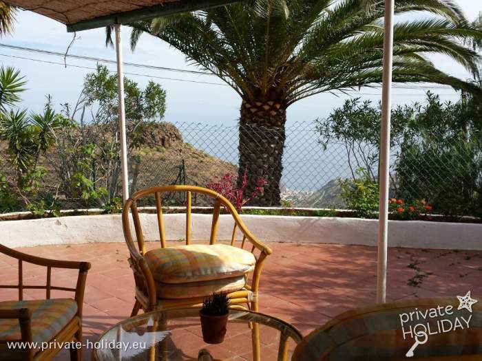 Terrace with palm tree and sea view, Playa de Santiago, La Gomera
