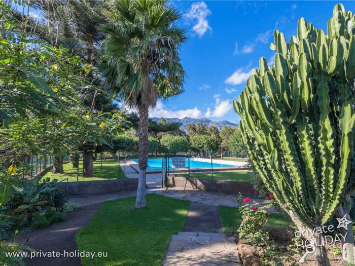 Zwembadtuin met palmen en cactus voor de bergen, Valsequillo, Gran Canaria
